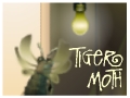 Juego Tiger Moth